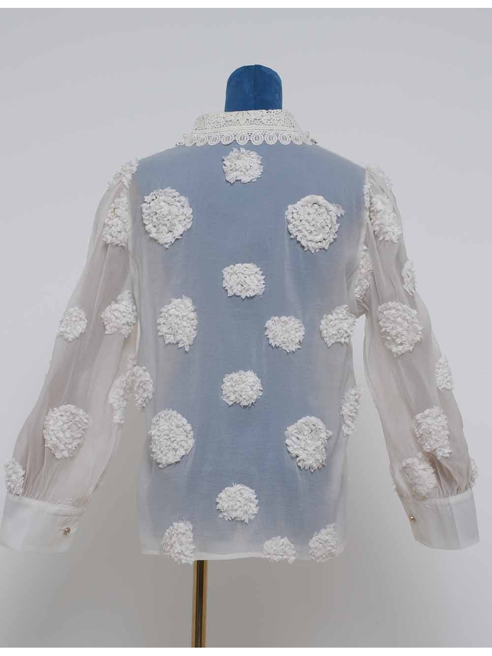 Chic Jacquard Lantern Sleeves Sheer Blouse