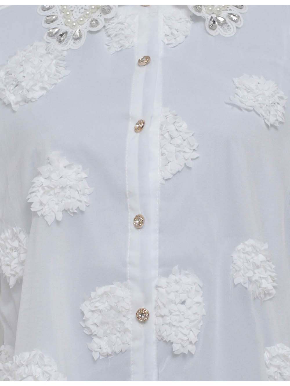 Chic Jacquard Lantern Sleeves Sheer Blouse