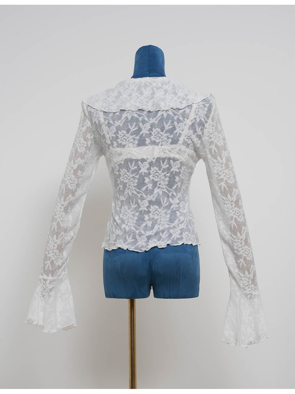 Sheer Lace Boho Ruffle V Neck Flared Sleeves Blouse
