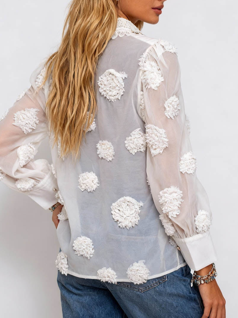 Chic Jacquard Lantern Sleeves Sheer Blouse