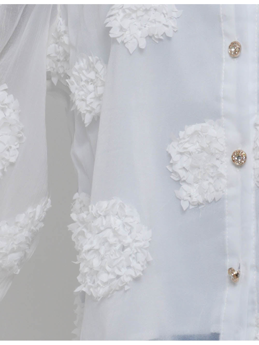 Chic Jacquard Lantern Sleeves Sheer Blouse