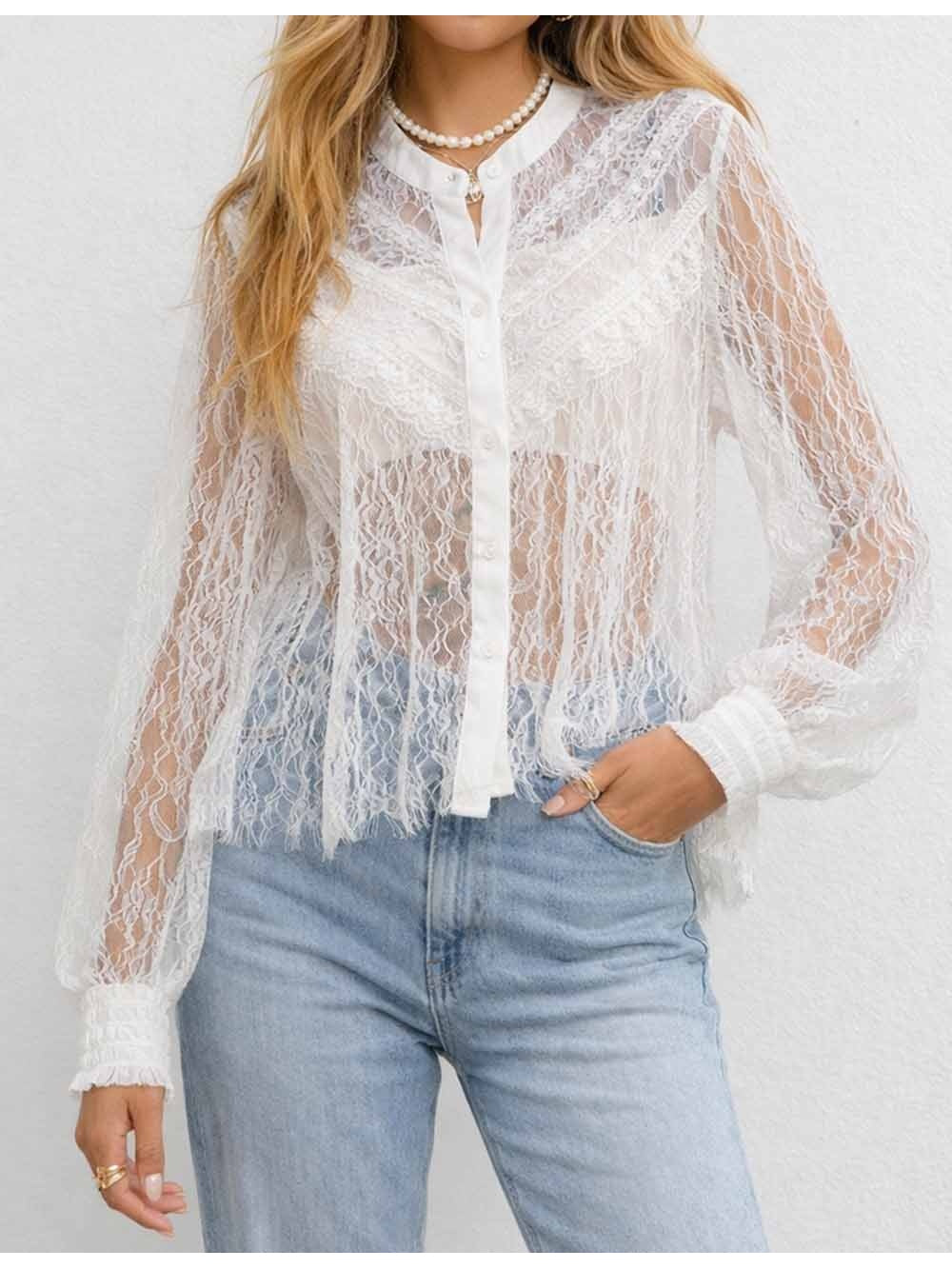 Sheer Lace Round Neck Button Long Sleeves Boho Blouse
