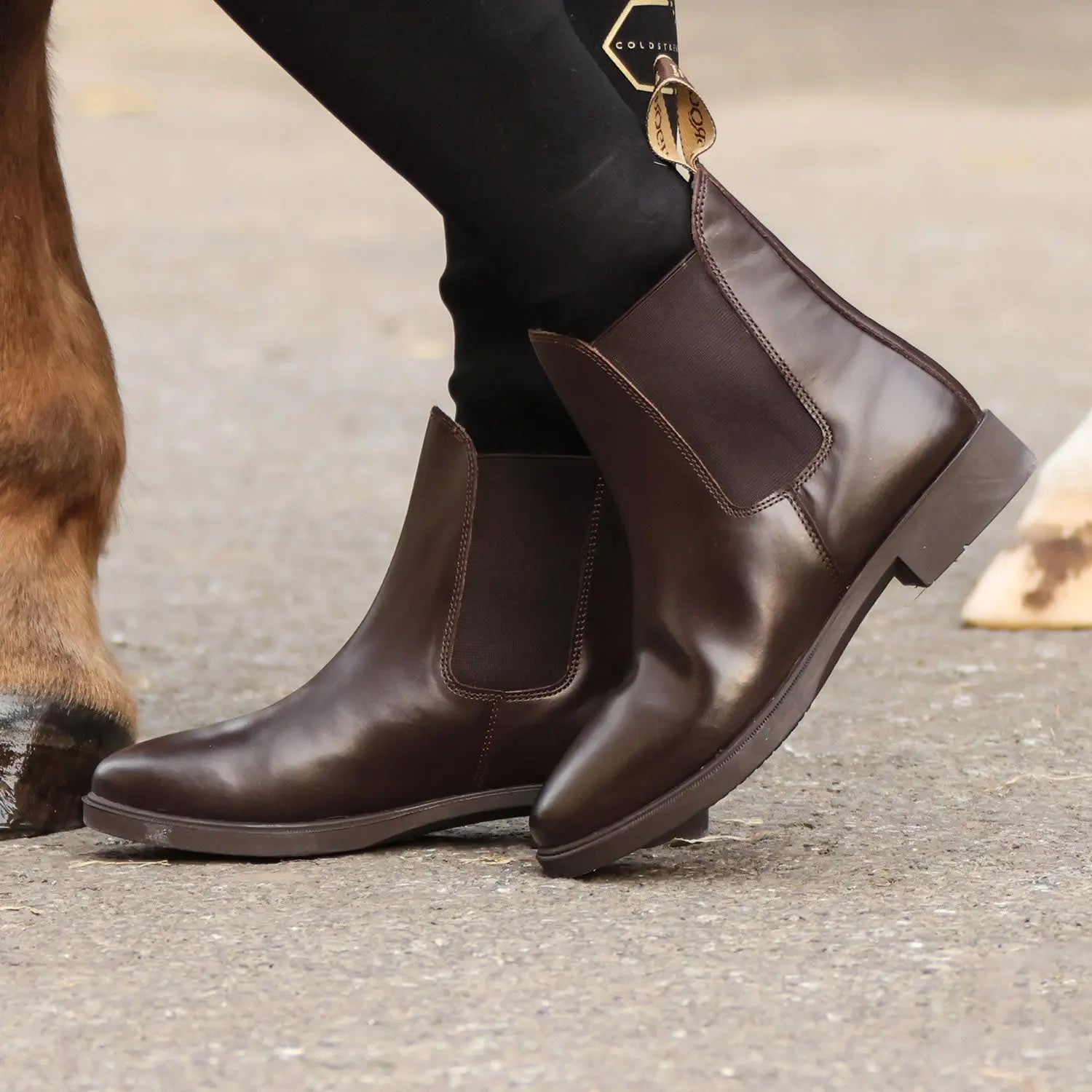 Leather Classic Paddock Boots