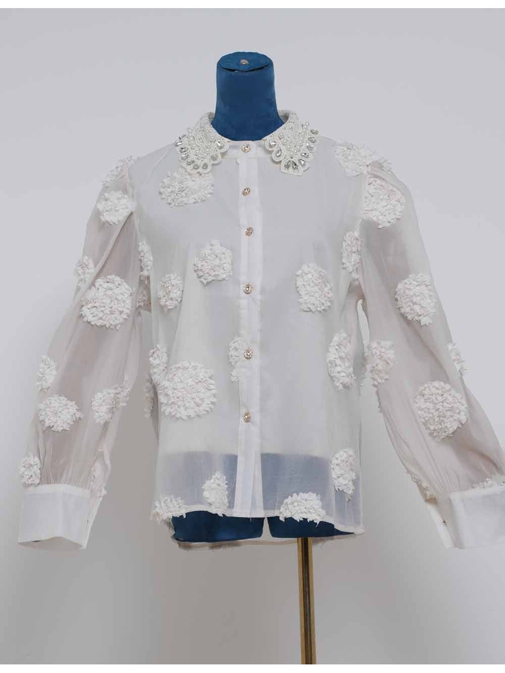 Chic Jacquard Lantern Sleeves Sheer Blouse