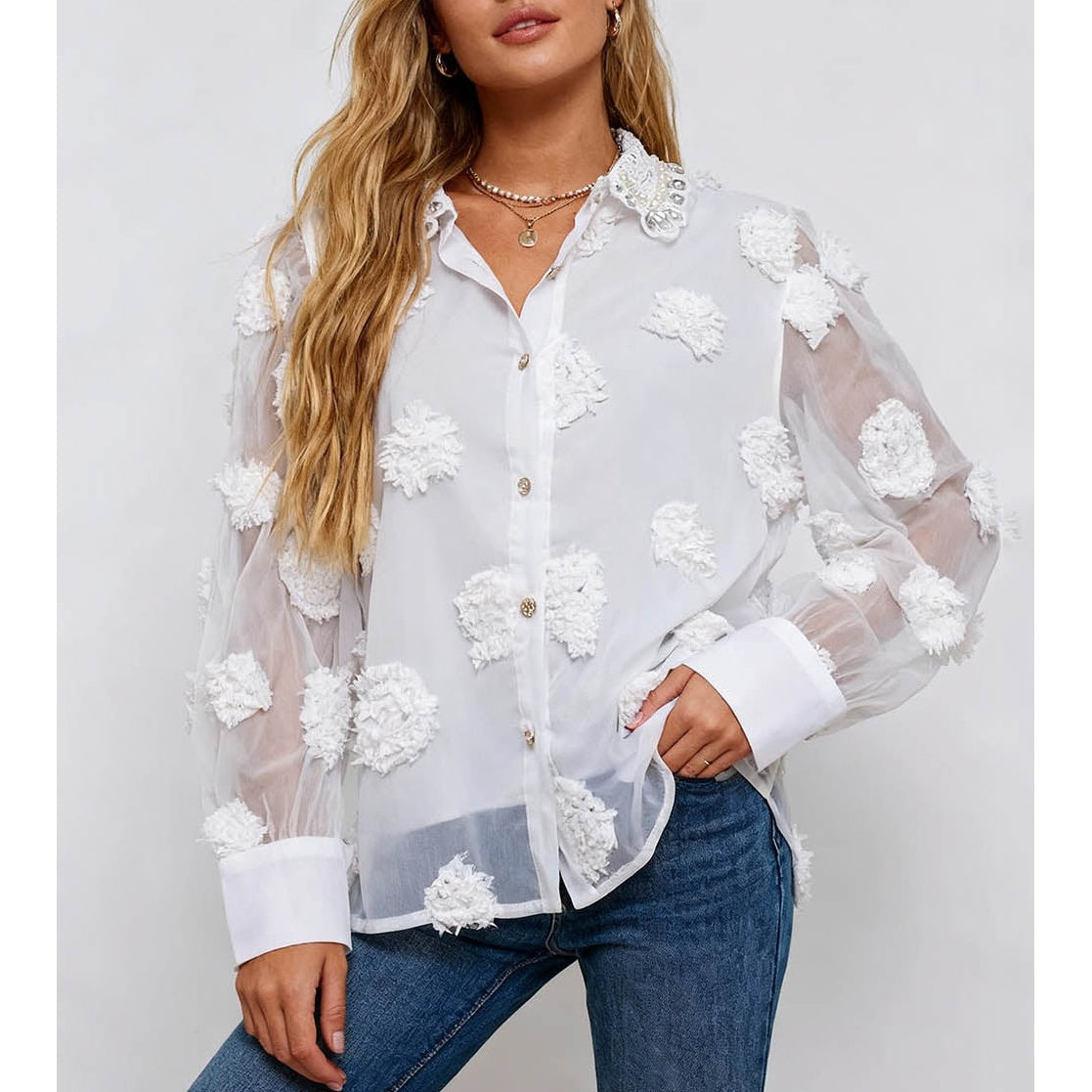 Chic Jacquard Lantern Sleeves Sheer Blouse