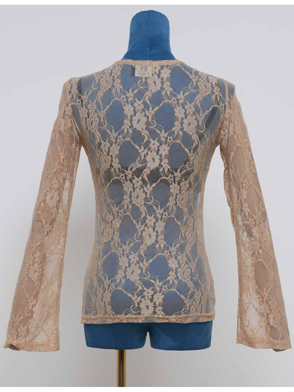 Romantic Sheer Lace V Neck Long Sleeves Blouse