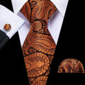 Polished Paisley Silk Necktie Set