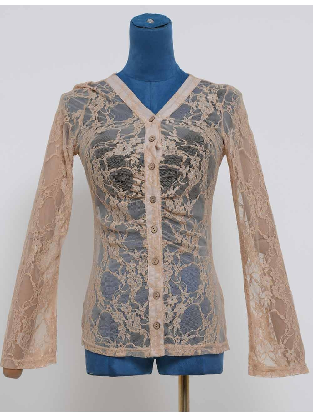 Romantic Sheer Lace V Neck Long Sleeves Blouse