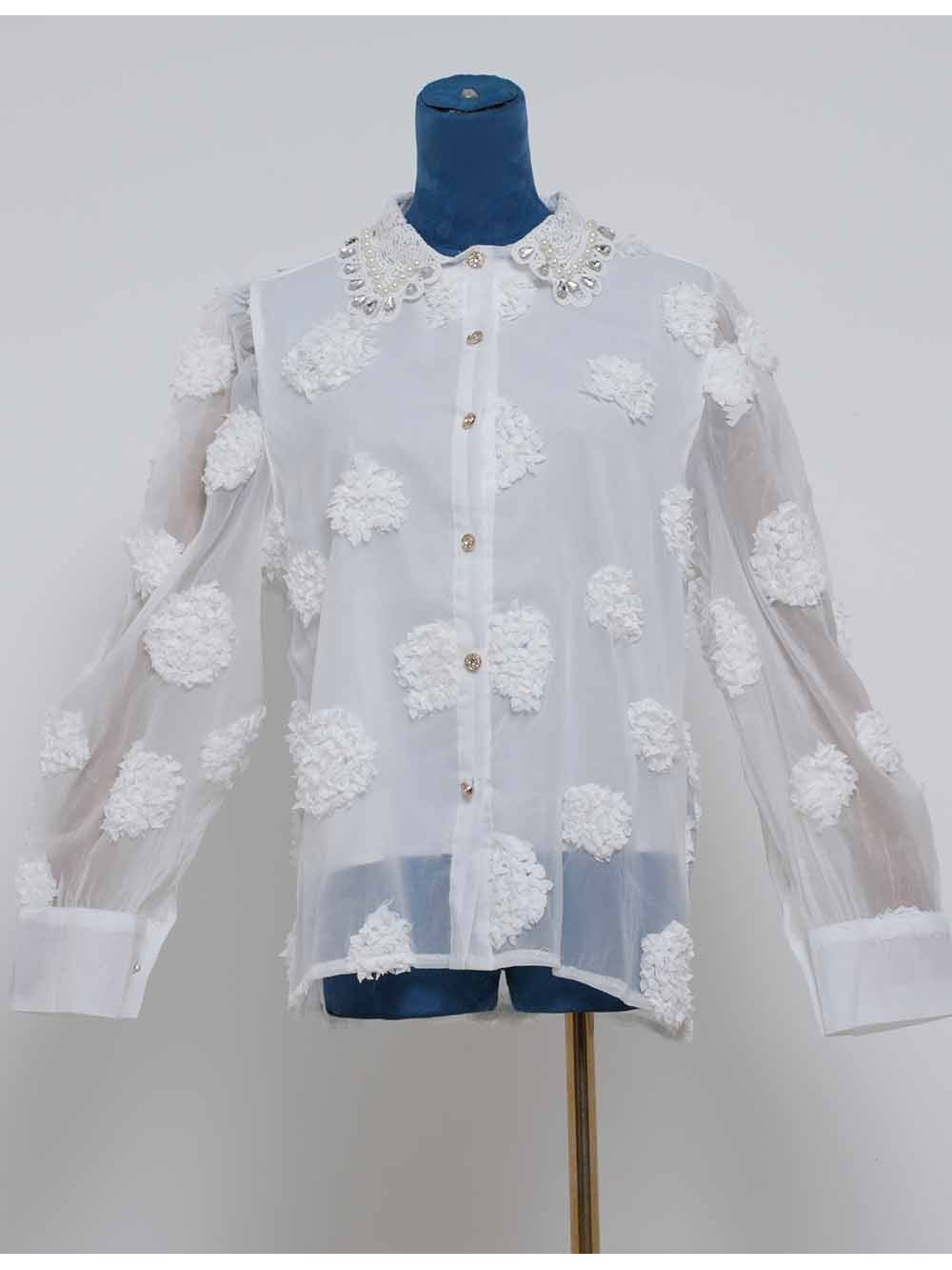 Chic Jacquard Lantern Sleeves Sheer Blouse