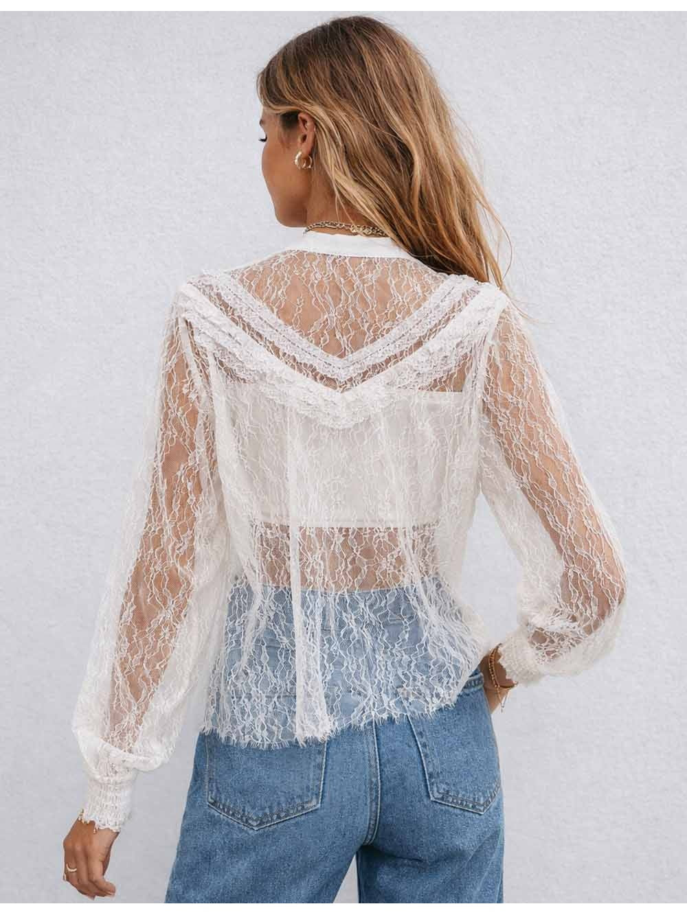 Sheer Lace Round Neck Button Long Sleeves Boho Blouse