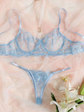 Refined Embroidered Lace Lingerie Set