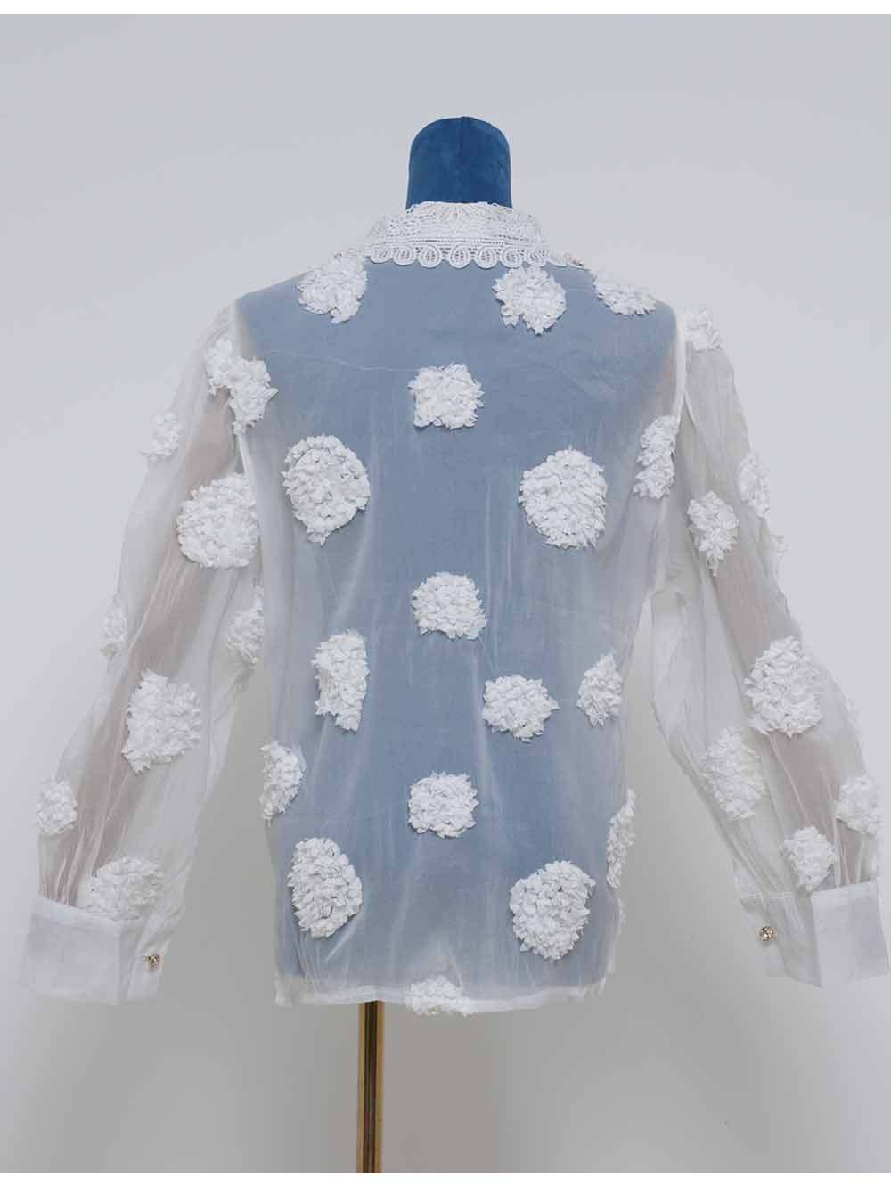 Chic Jacquard Lantern Sleeves Sheer Blouse