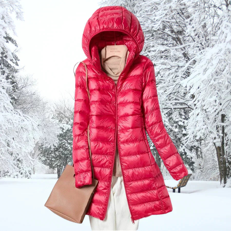 Polished Versatile Everyday Jacket