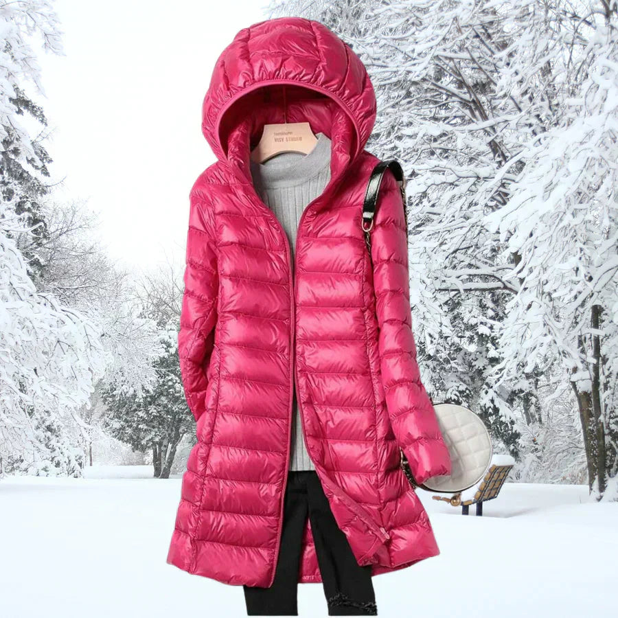 Polished Versatile Everyday Jacket