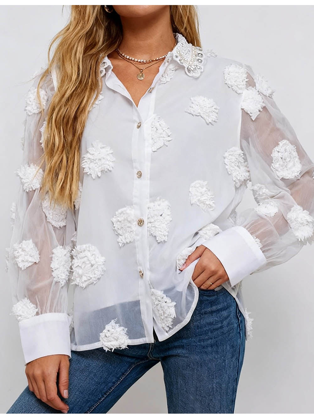 Chic Jacquard Lantern Sleeves Sheer Blouse