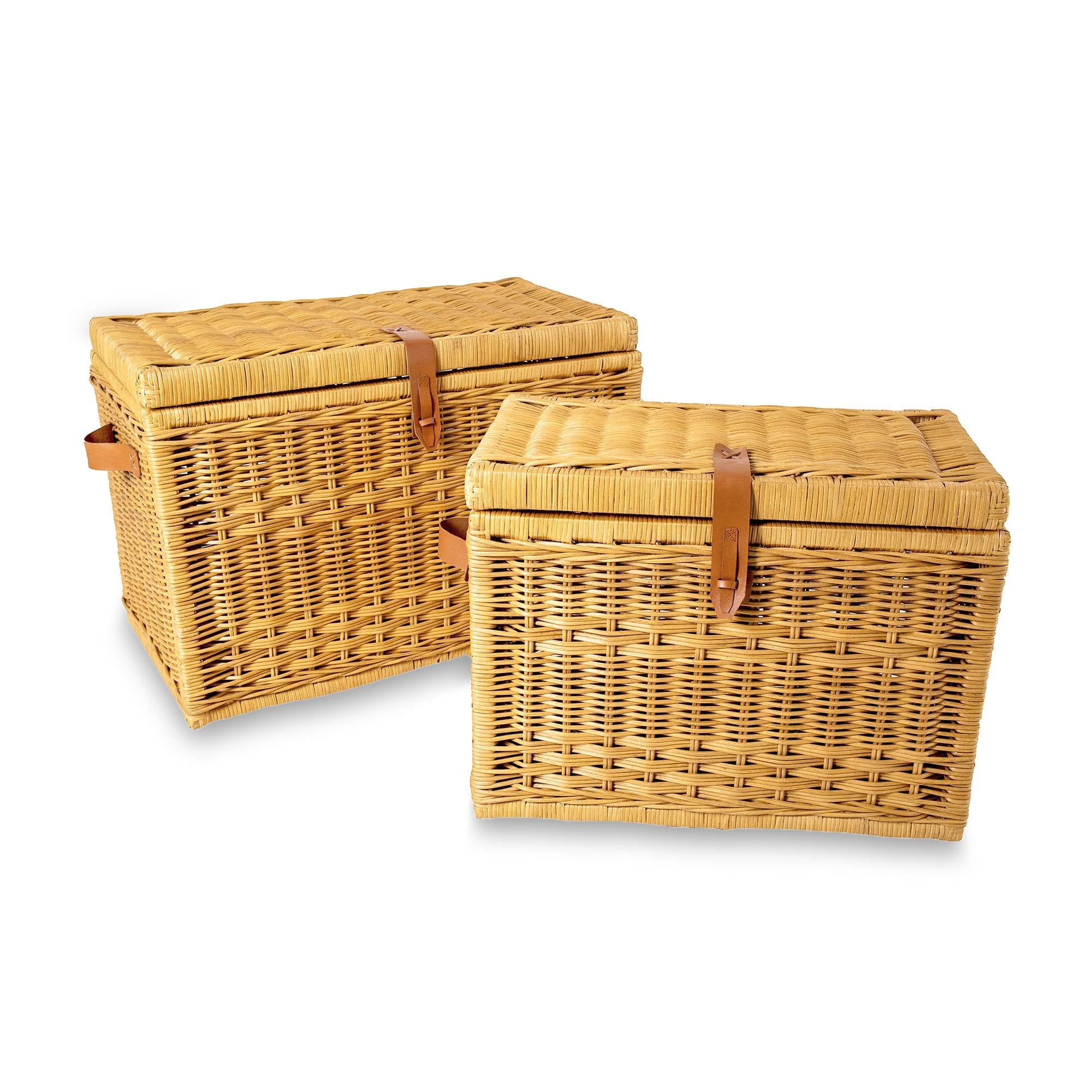 Wicker Storage Trunk